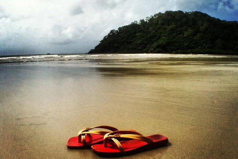 Daintree And Cape Tribulation Full Day Guided Tour - Events Australia 4