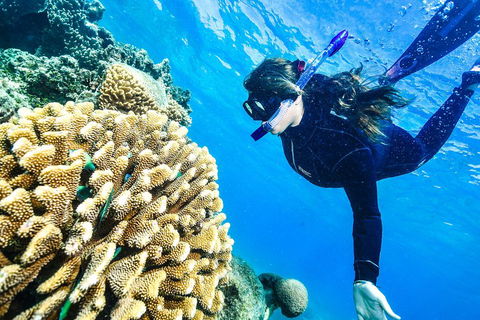 Green Island Day Trip From Cairns - Events Australia 1