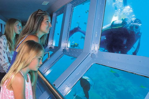 Quicksilver Outer Great Barrier Reef Snorkel Cruise From Palm Cove - Events Australia 0