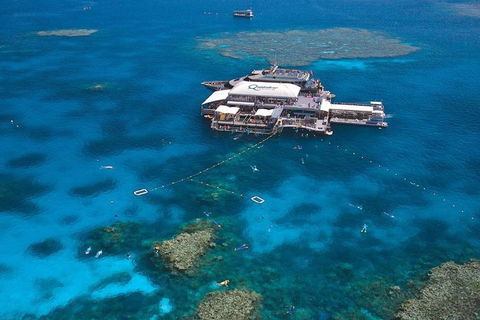 Quicksilver Outer Great Barrier Reef Snorkel Cruise From Palm Cove - Events Australia 1