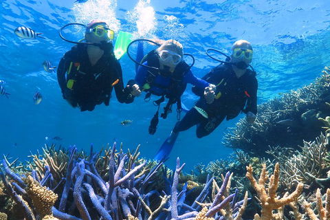 Quicksilver Outer Great Barrier Reef Snorkel Cruise From Palm Cove - Events Australia 3