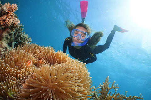 Quicksilver Outer Great Barrier Reef Snorkel Cruise From Port Douglas - Tourism Bookings 2