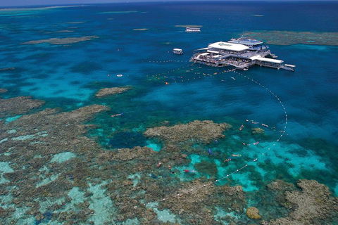 Quicksilver Outer Great Barrier Reef Snorkel Cruise From Port Douglas - Tourism Bookings 3