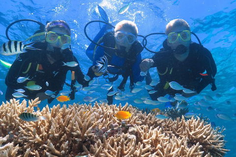 Quicksilver Outer Great Barrier Reef Snorkel Cruise From Port Douglas - Tourism Bookings 4