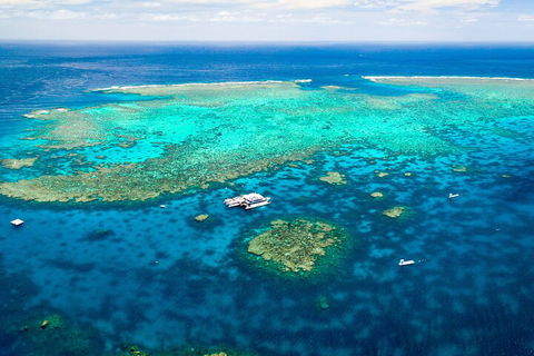 Quicksilver Outer Great Barrier Reef Snorkel Cruise From Port Douglas - Tourism Bookings 5