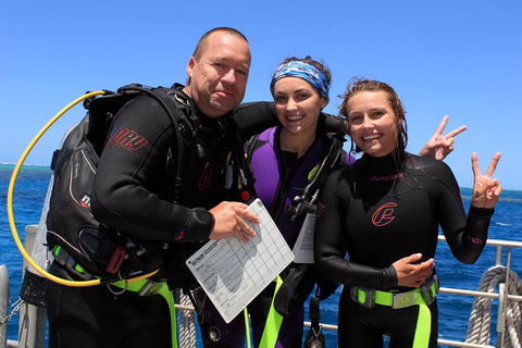 Quicksilver Dive 4 Day PADI Learn To Dive Course - Tourism Bookings 0
