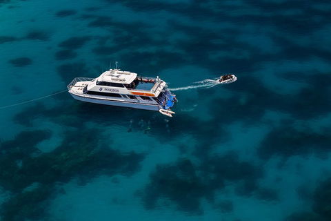 Quicksilver Dive 4 Day PADI Learn To Dive Course - Tourism Bookings 1