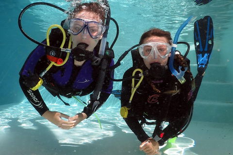 Quicksilver Dive 4 Day PADI Learn To Dive Course - Tourism Bookings 2