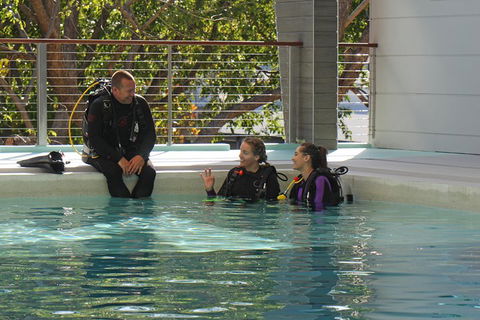 Quicksilver Dive 4 Day PADI Learn To Dive Course - Tourism Bookings 3