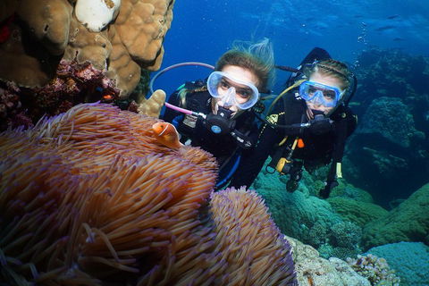 Quicksilver Dive 4 Day PADI Learn To Dive Course - Tourism Bookings 4