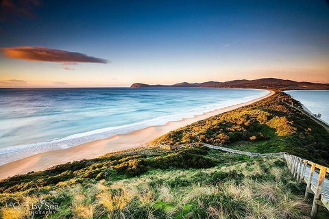 Bruny Island Private Charter Service - Tourism Bookings 0
