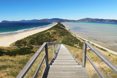 Bruny Island Private Charter Service - Tourism Bookings 4