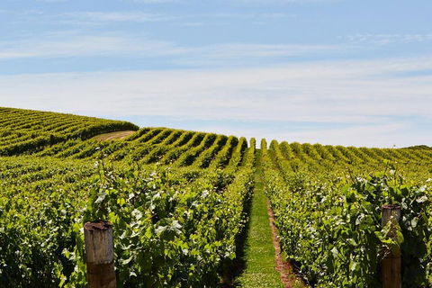West Tamar Wine Tour - Events Australia 2