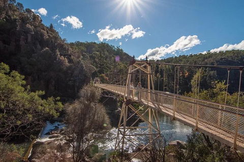 Launceston Private Charter Service - Events Australia 5