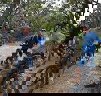 Fully guided E-Mountain Bike Tour on the beautiful Mornington Peninsula. - Events Australia