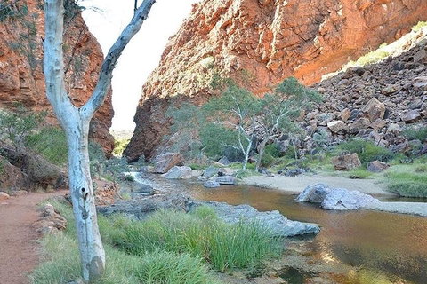 Alice Springs, Uluru Ayers Rock & Kings Canyon 8 Days Touring Package - Events Australia 2