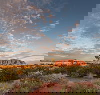 Uluru Kata Tjuta and Kings Canyon Camping Safari from Alice Springs - Events Australia