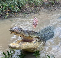 Top End Waterfalls and Wetlands - Events Australia