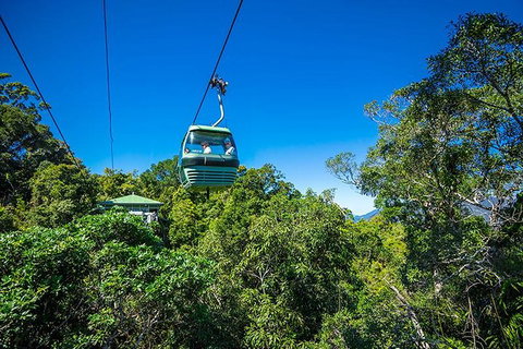 Skyrail Rainforest Cableway Day Trip From Cairns - Events Australia 1