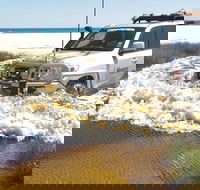 Full-Day Moreton Island 4x4 Sightseeing Tour - Events Australia
