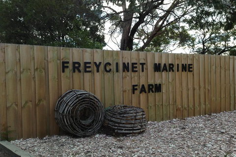 Active Day Tour One-Way From Launceston To Hobart Via Wineglass Bay - Events Australia 3