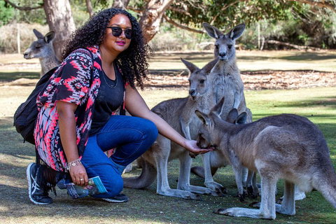 3-Day Tasmania Combo: Hobart To Launceston Active Tour - Events Australia 5