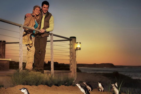 The Ultimate Melbourne Attractions Pass - Tourism Bookings 3