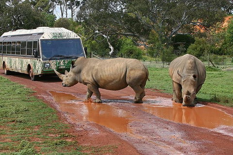 The Ultimate Melbourne Attractions Pass - Tourism Bookings 4