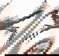 The Ultimate Gold Coast Attractions Pass - Events Australia