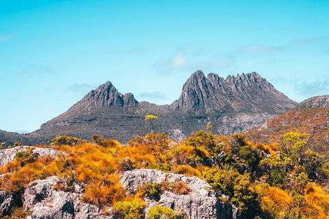 Cradle Mountain National Park Day Tour From Launceston - Events Australia 1