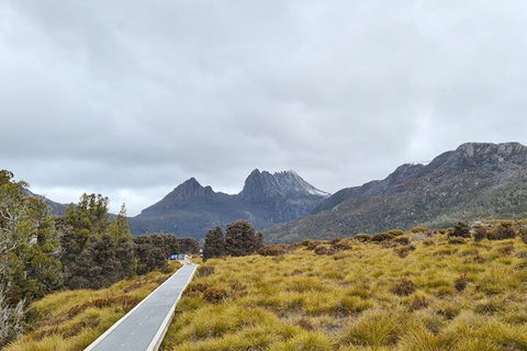 Cradle Mountain National Park Day Tour From Launceston - Events Australia 2