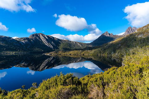 Cradle Mountain National Park Day Tour From Launceston - Events Australia 3