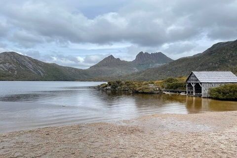 Cradle Mountain National Park Day Tour From Launceston - Events Australia 4