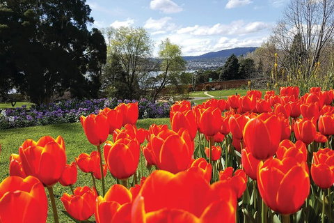 Hobart Half-Day Sightseeing Coach Tram Tour - Events Australia 4