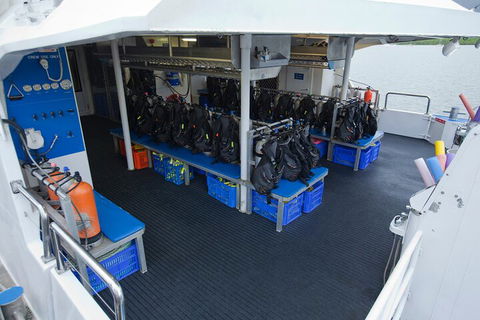 Silverswift Outer Great Barrier Reef Dive And Snorkel Cruise From Cairns - Events Australia 0