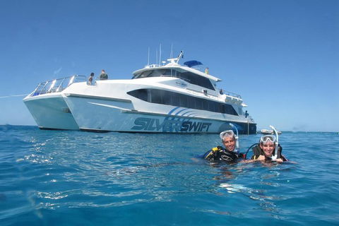 Silverswift Outer Great Barrier Reef Dive And Snorkel Cruise From Cairns - Events Australia 4