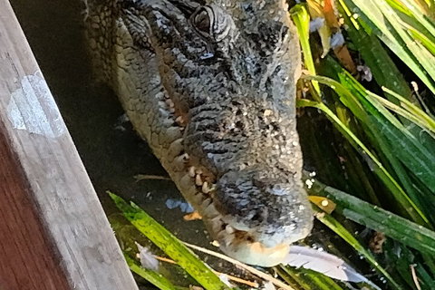 Litchfield Park Adventures And Jumping Crocodile Cruise + Butterfly Farm - Events Australia 1