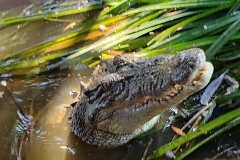 Litchfield Park Adventures And Jumping Crocodile Cruise + Butterfly Farm - Events Australia 4