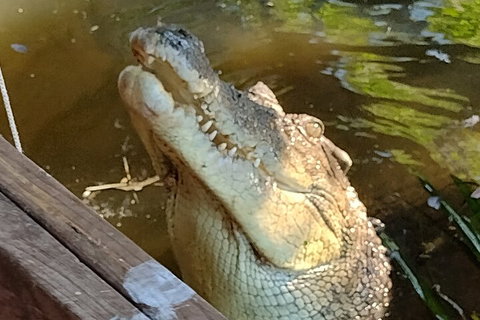 Litchfield Park Adventures And Jumping Crocodile Cruise + Butterfly Farm - Events Australia 5