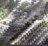 6-Day Hearty Tasmania Tour Tasmania in a Circle - Events Australia