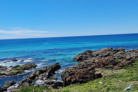 Private Custom Byron Bay Day Out - Events Australia 4