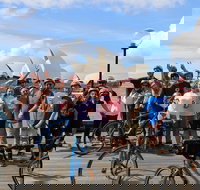 Sydney Bike Tours - Tourism Bookings