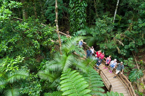 2 Day Daintree Rainforest, Cape Tribulation And Outback Chillagoe Tour - Events Australia 3