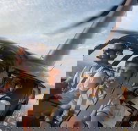 Melbourne and Port Phillip Bay Helicopter Tour - Events Australia