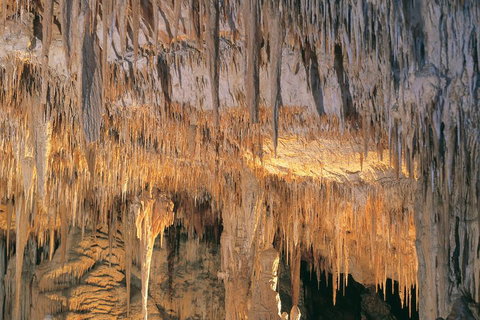 Margaret River, Caves, Wine And Cape Leeuwin Lighthouse Tour From Perth - Events Australia 3