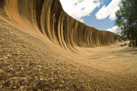 Wave Rock, York, Wildflowers, And Aboriginal Cultural Day Tour From Perth - Tourism Bookings 0