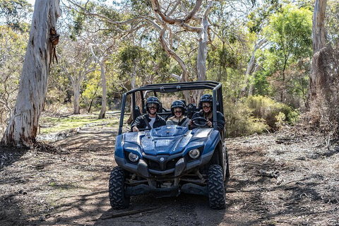 Small-Group Buggy Tour At Little Sahara With Guide - Events Australia 0