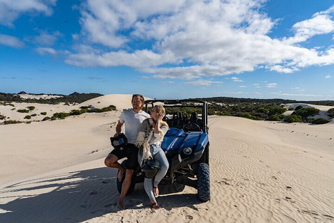Small-Group Buggy Tour At Little Sahara With Guide - Events Australia 2