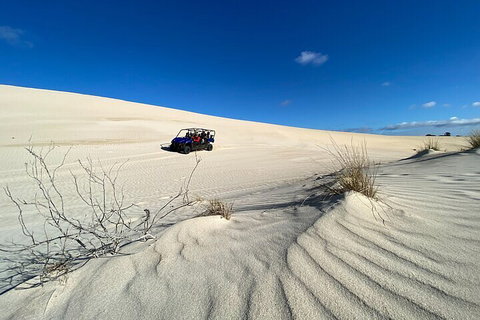 Small-Group Buggy Tour At Little Sahara With Guide - Events Australia 3