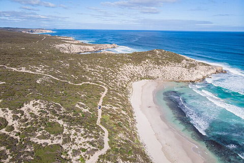 Small-Group Buggy Tour At Little Sahara With Guide - Events Australia 4